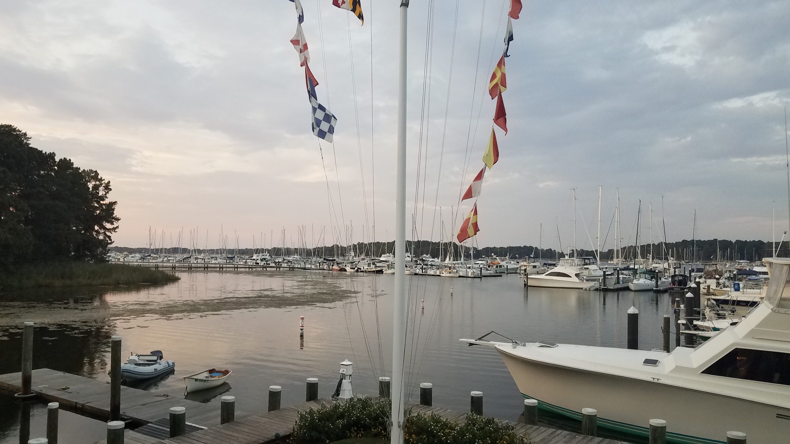 haven harbour marina