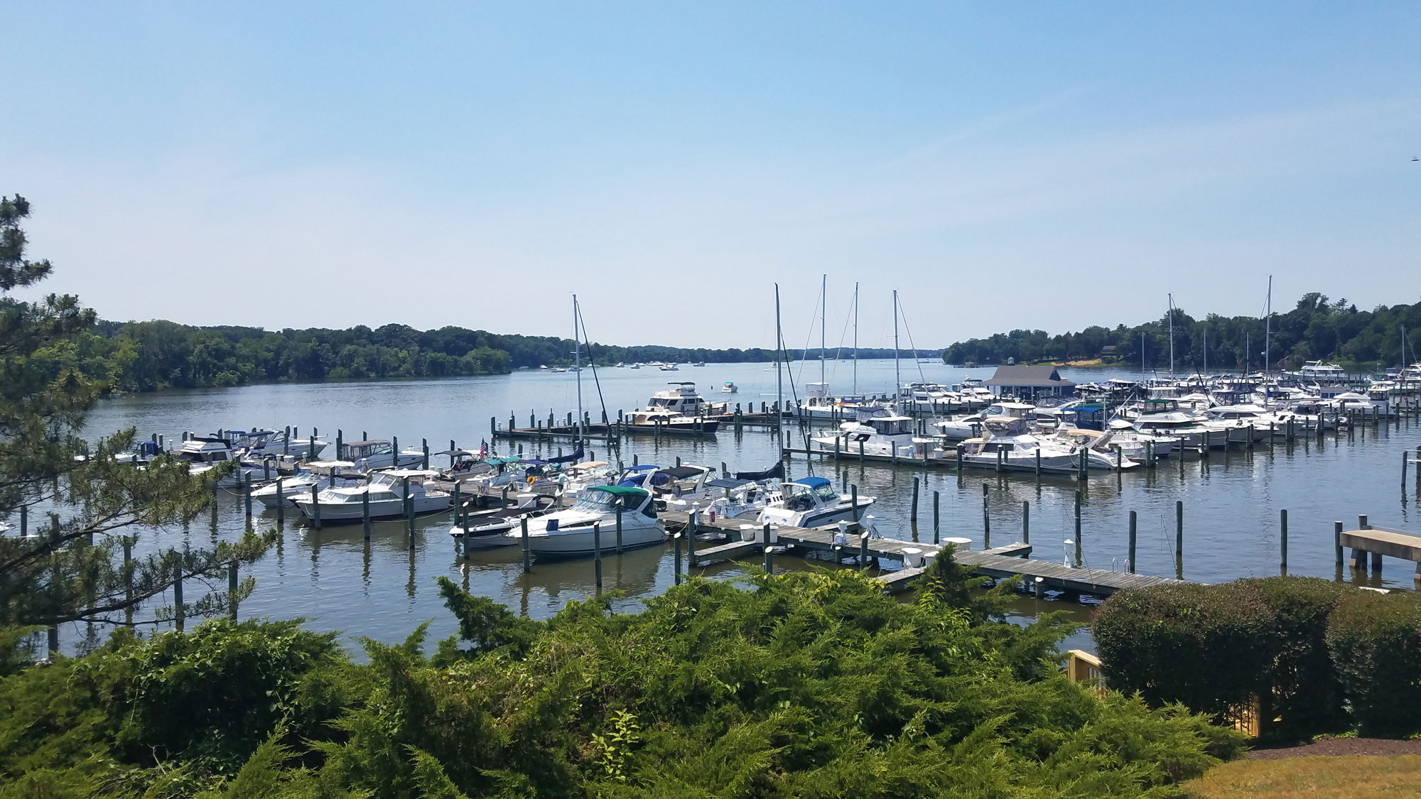 sassafras river marinas