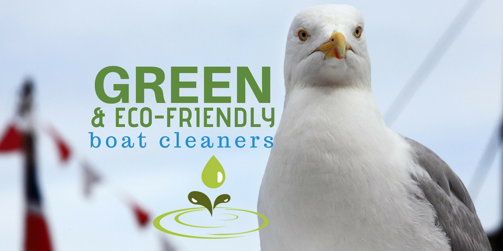 green eco friendly boat cleaners