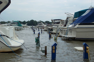 flooded marina