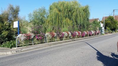 bridge-in-hochfelden