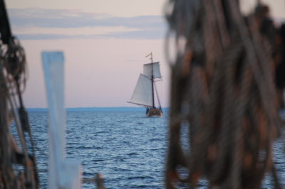 deck of the Meerwald