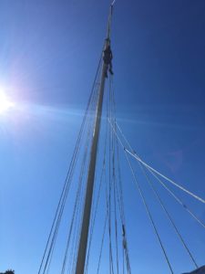 skipjack sail