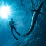 Spearfishing 101: A Quick Guide For Your Next Travel Adventure
