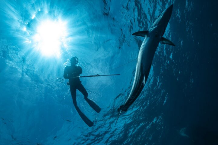 spearfishing