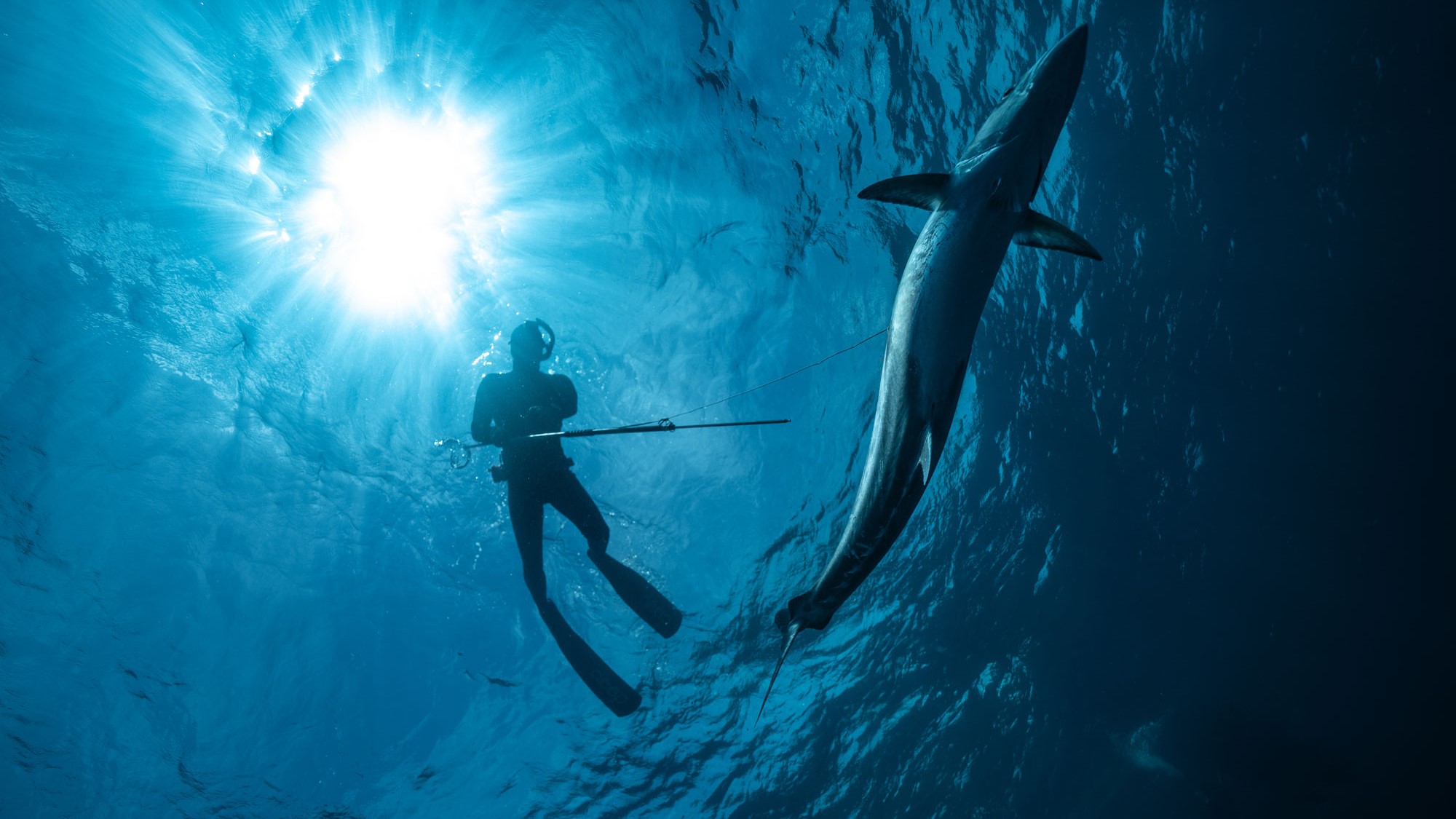 spearfishing