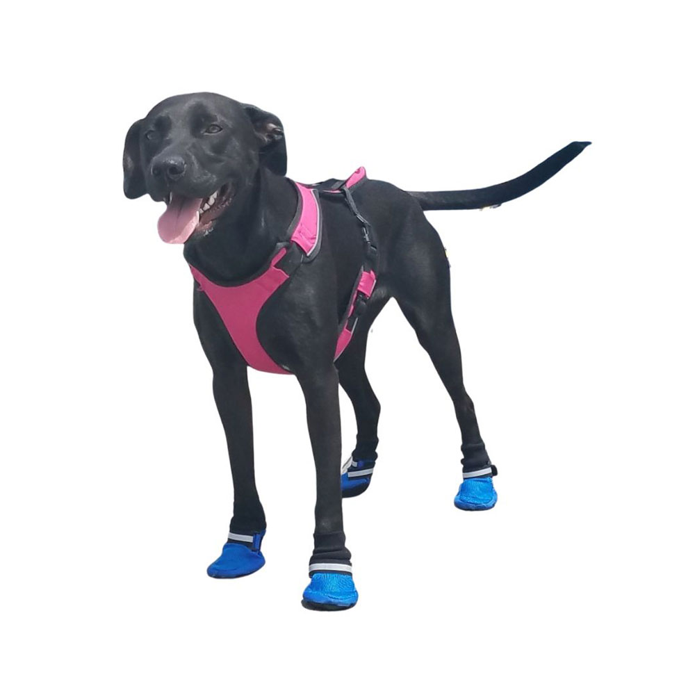 Paw Protector Dog Boots