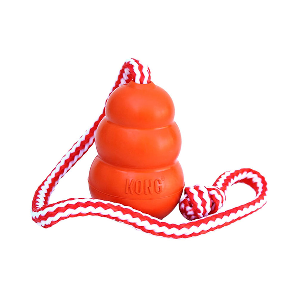 Floating Fetch Dog Water Toy