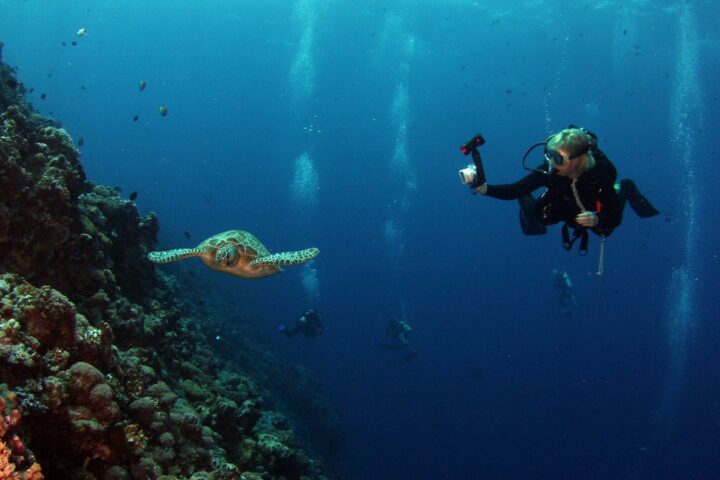 diving certification