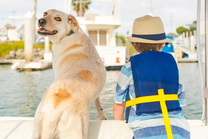 boat dog